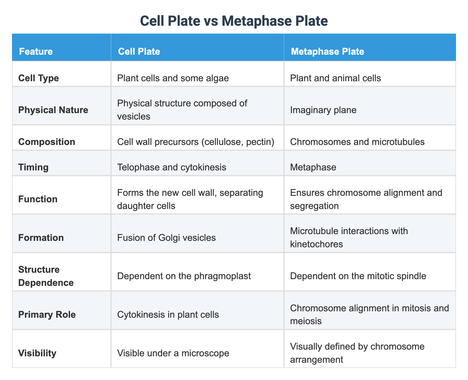 Cell Plate vs Metaphase Plate