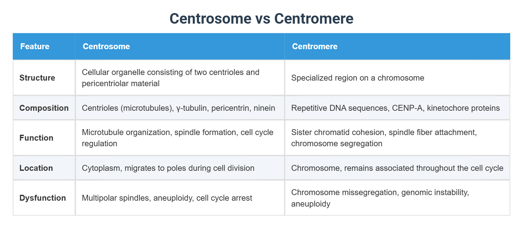 Centrosome vs Centromere