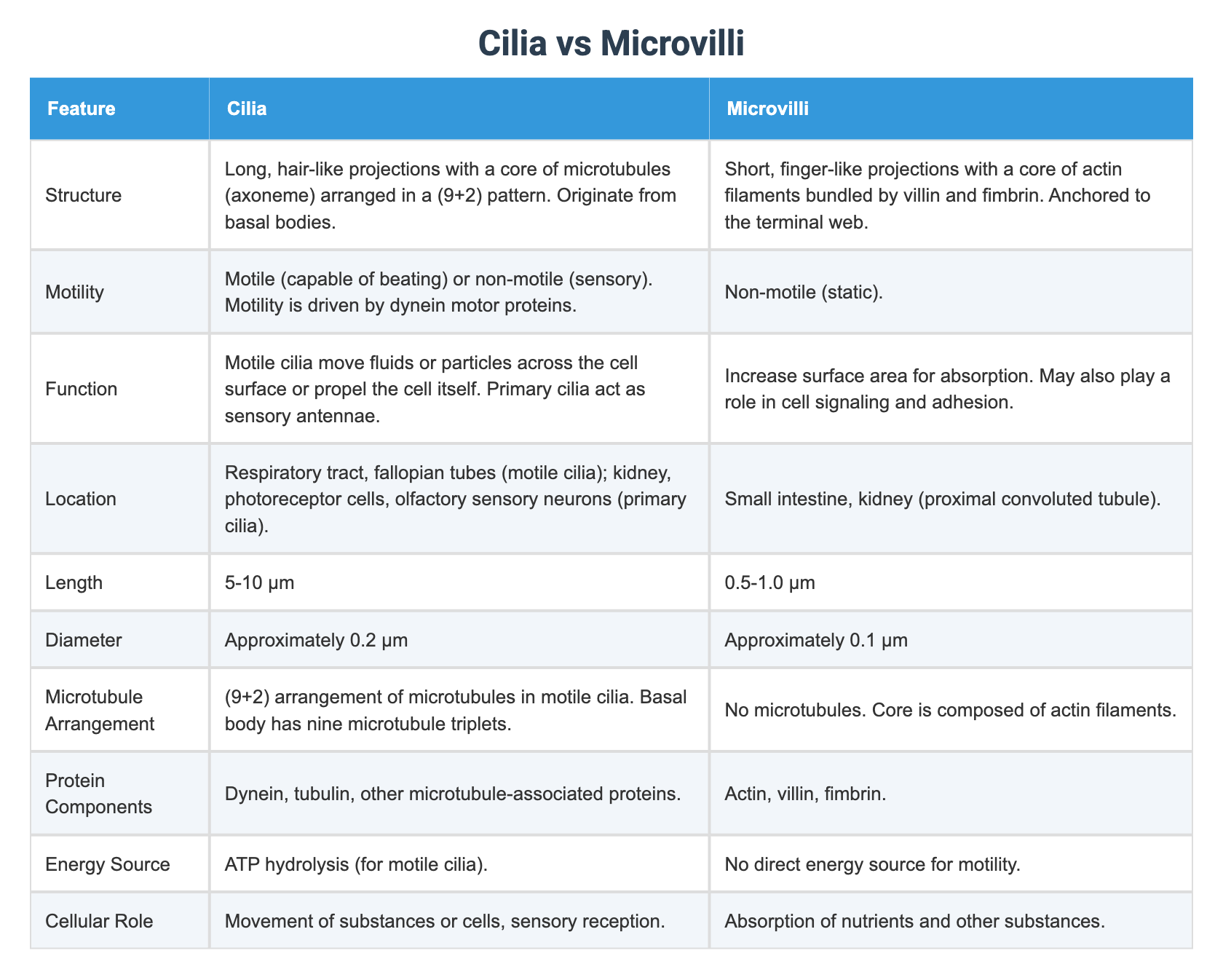 Cilia vs Microvilli