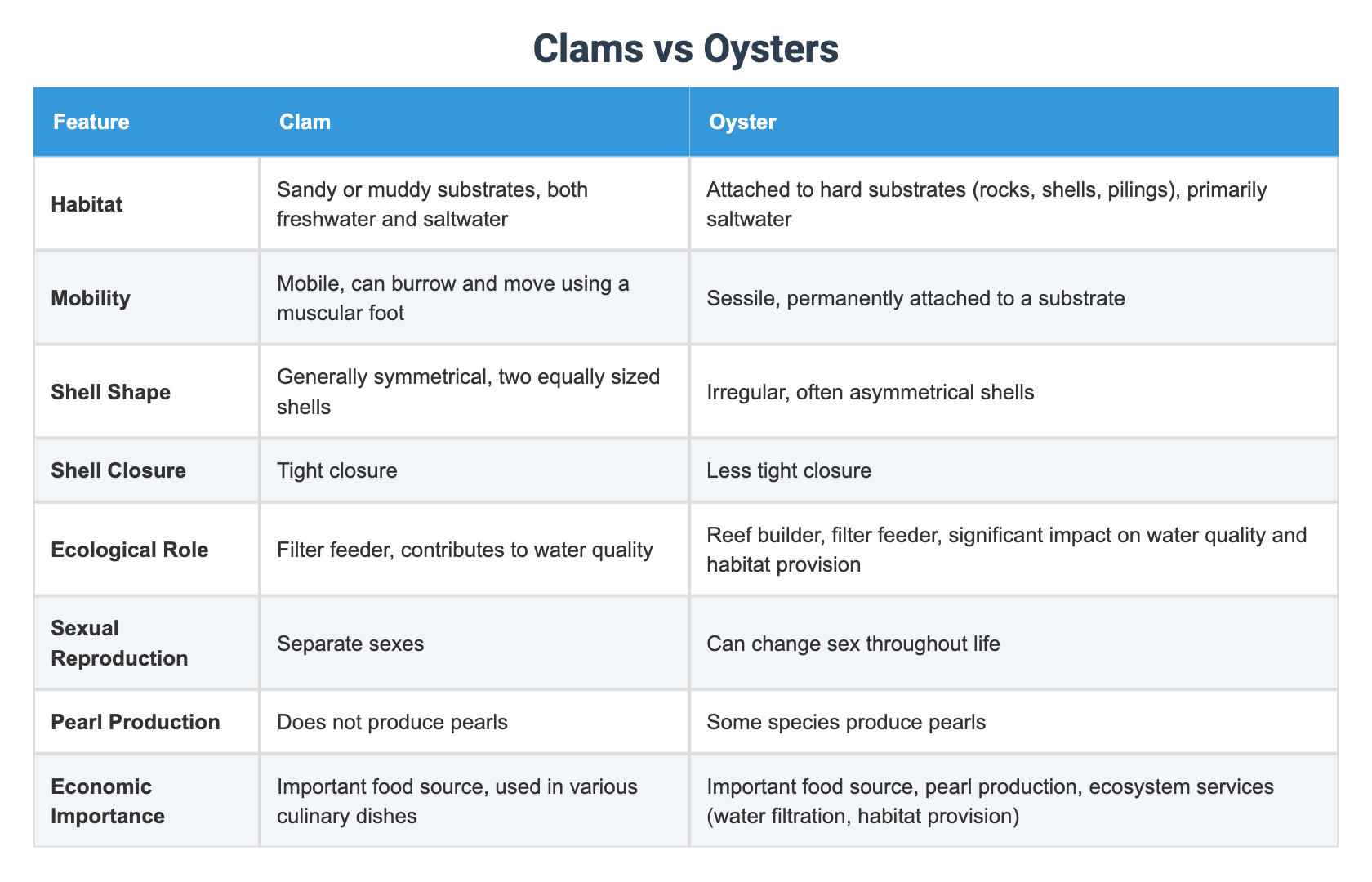 Clams vs Oysters