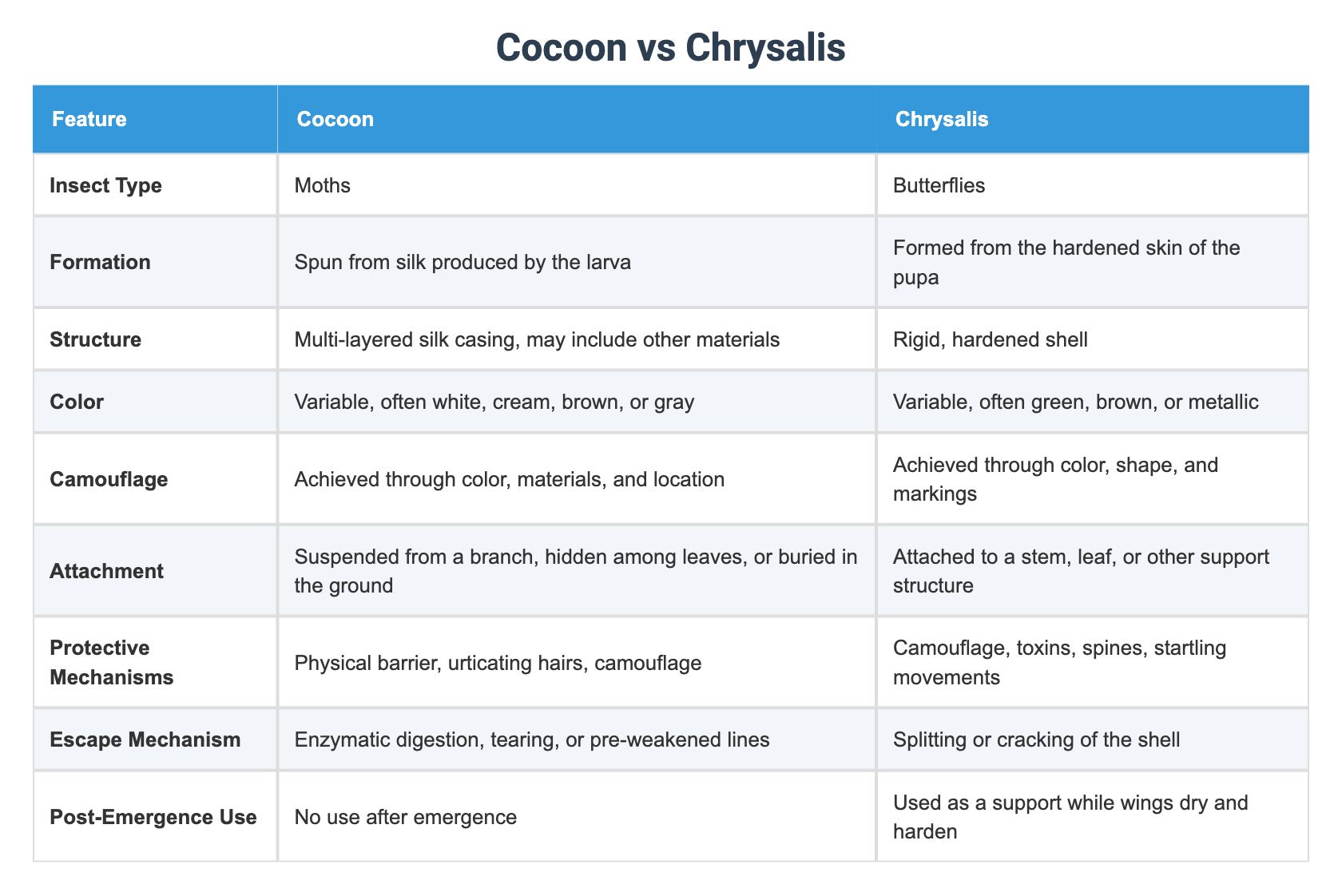 Cocoon vs Chrysalis