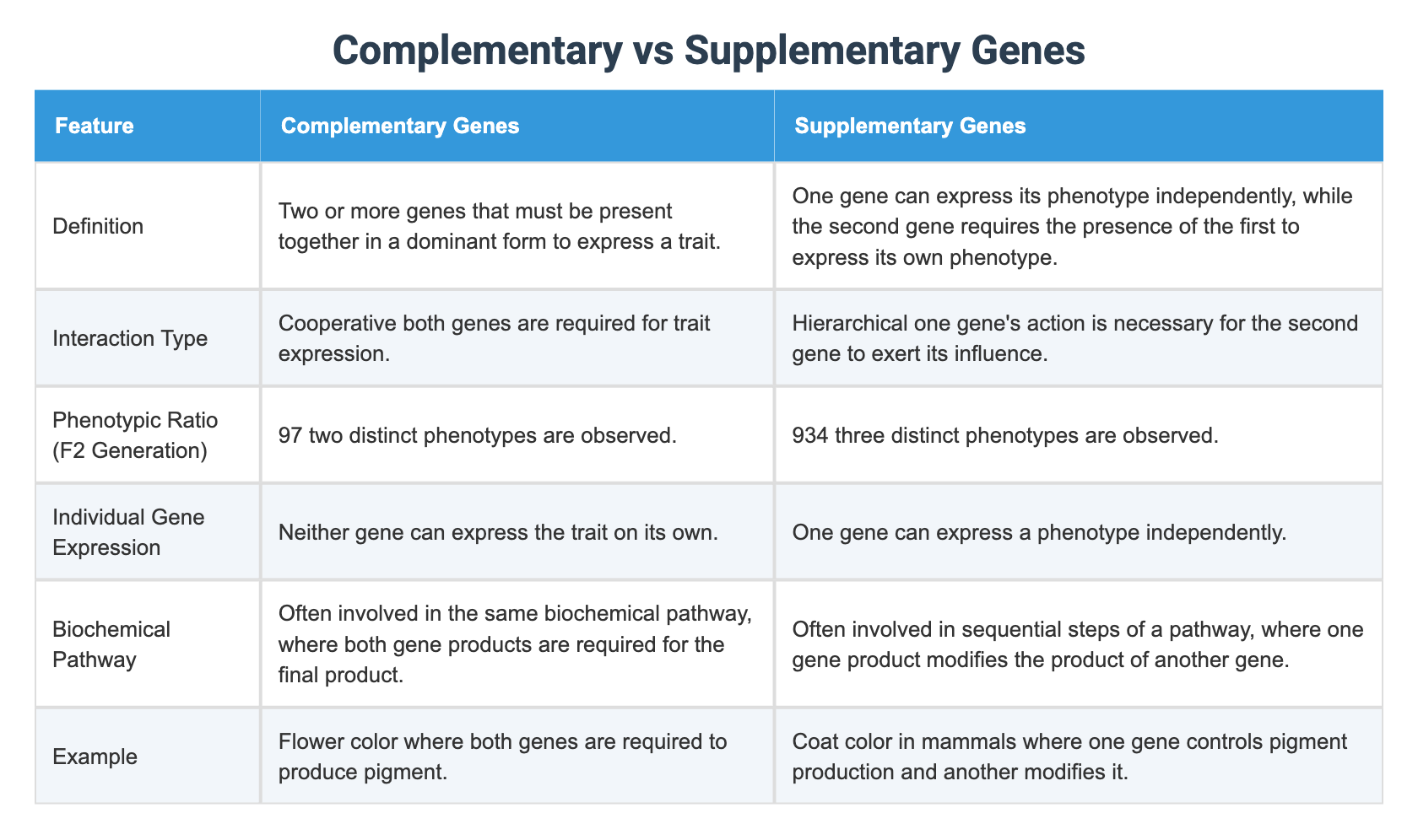 Complementary vs Supplementary Genes