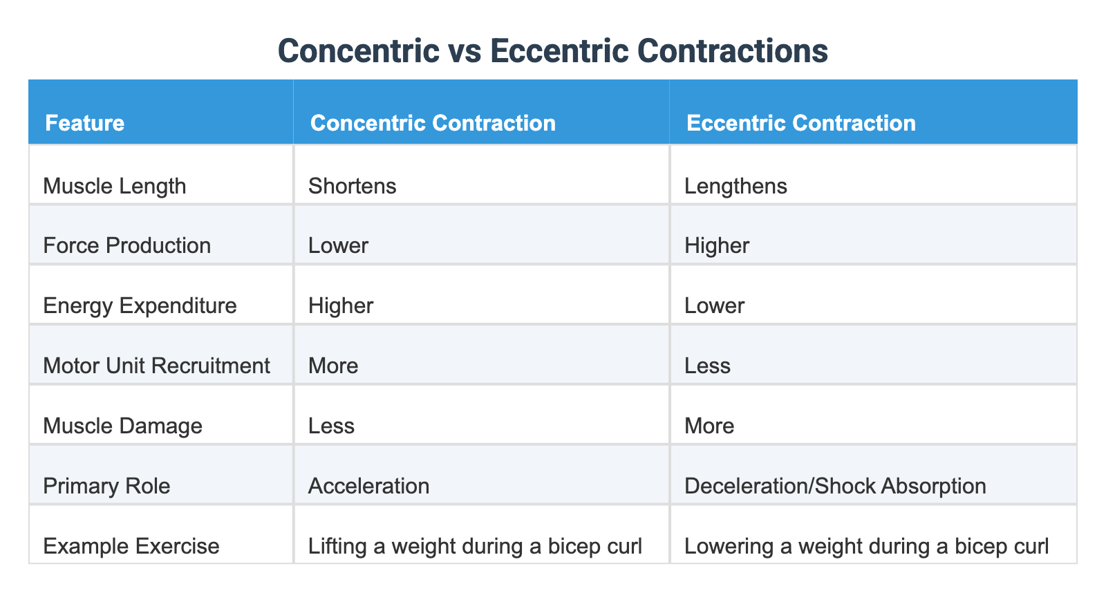 Concentric vs Eccentric Contractions