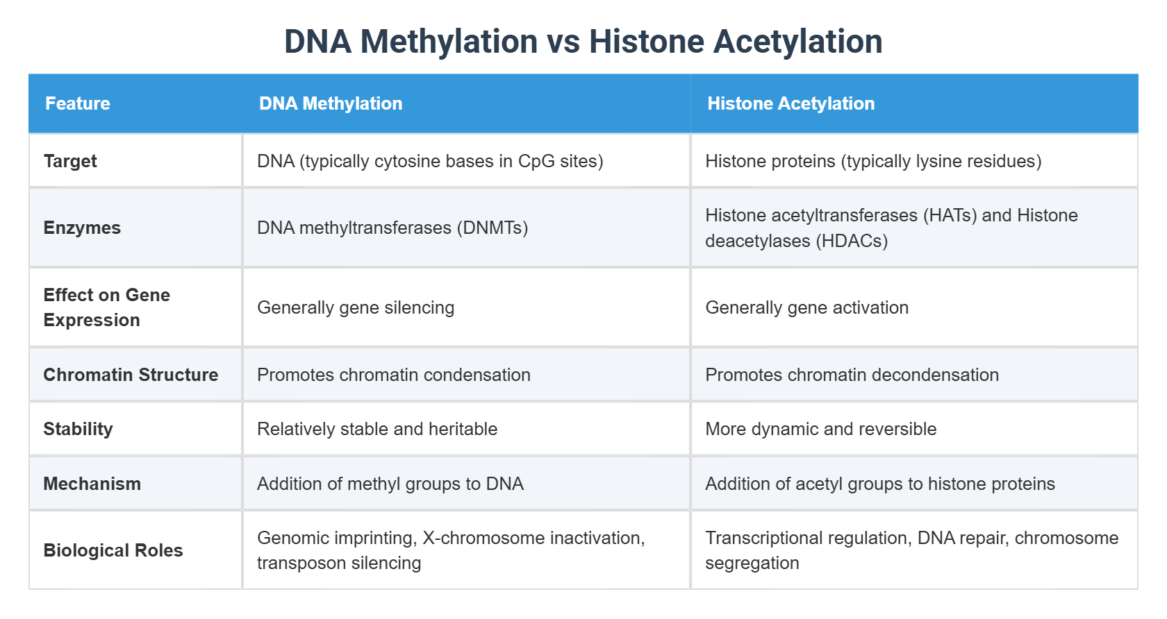 DNA Methylation vs Histone Acetylation
