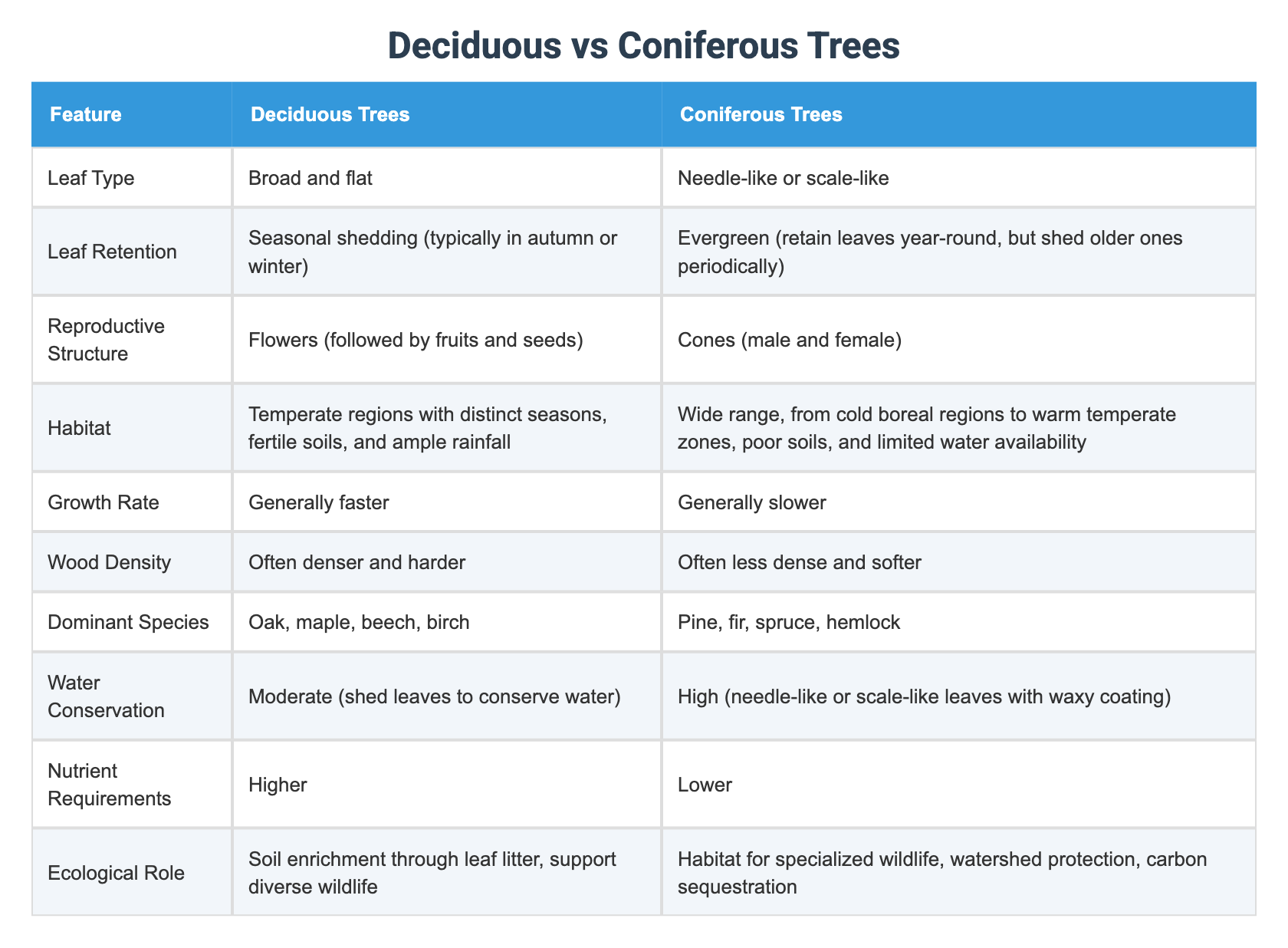 Deciduous vs Coniferous Trees