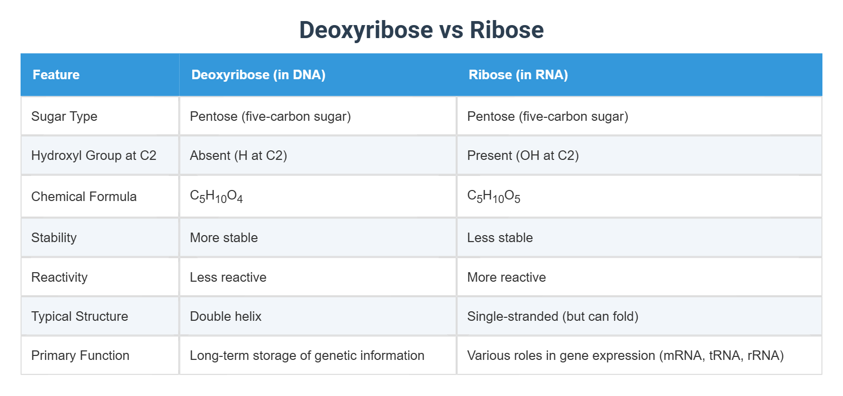 Deoxyribose vs Ribose