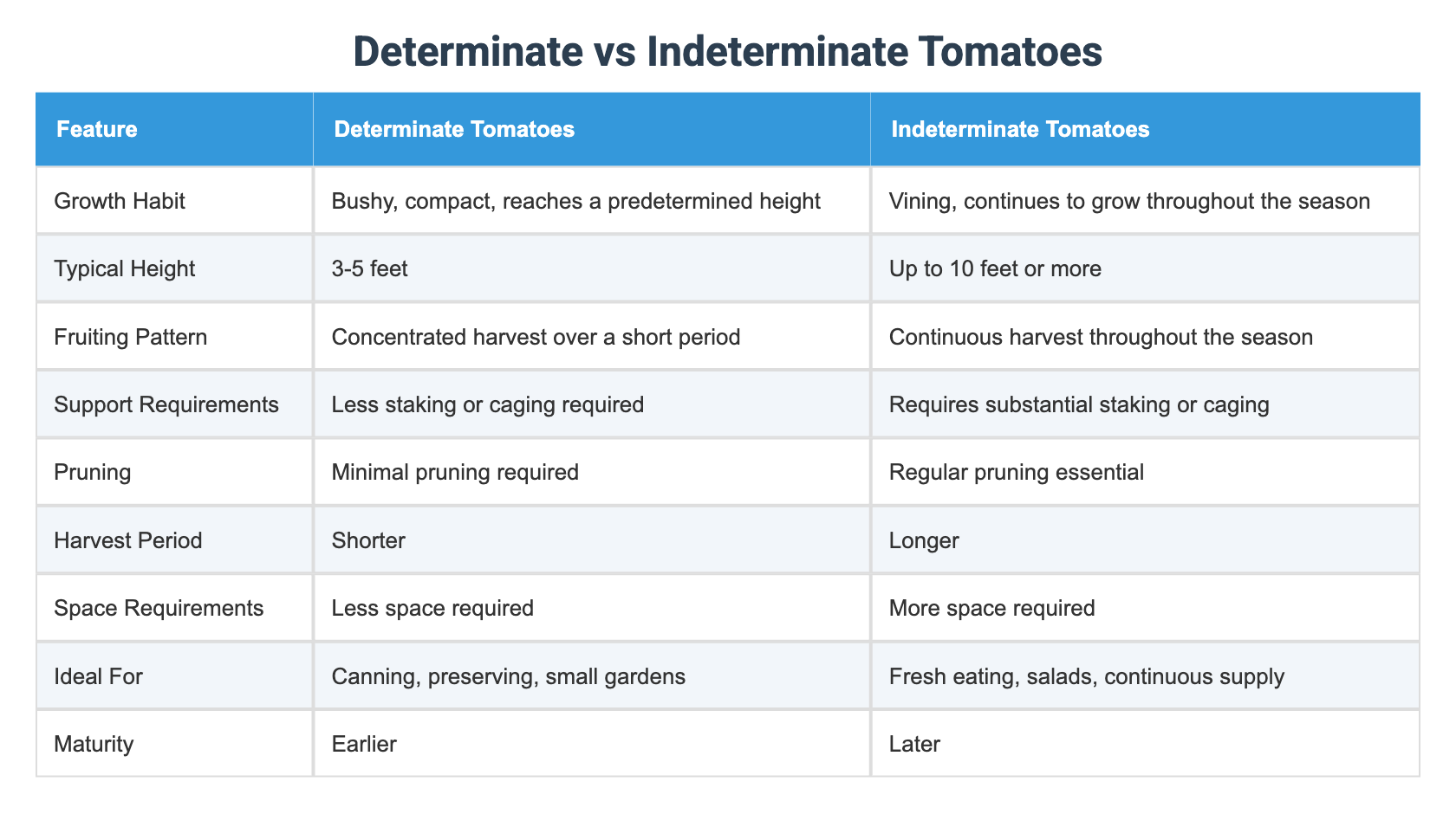 Determinate vs Indeterminate Tomatoes