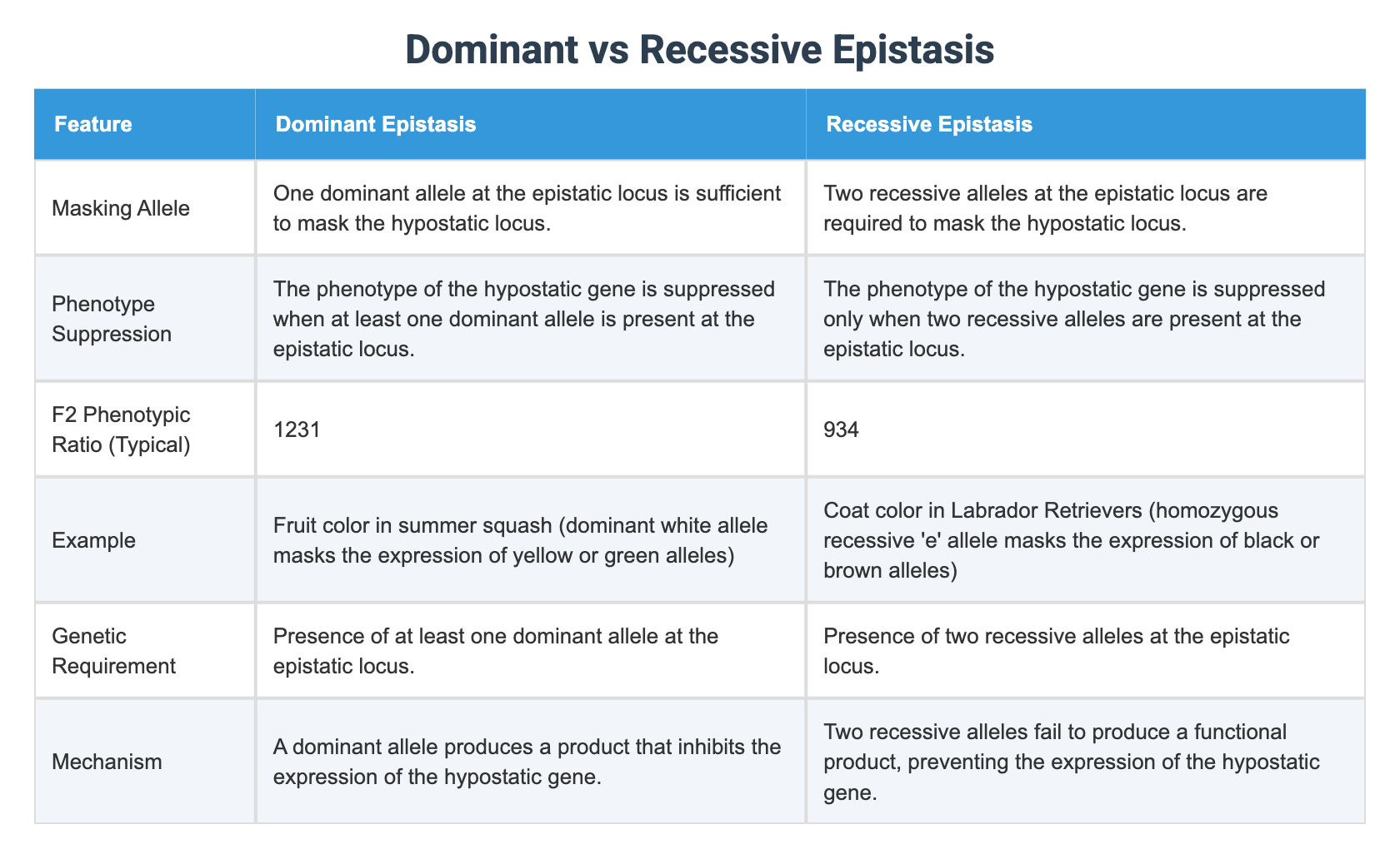 Dominant vs Recessive Epistasis