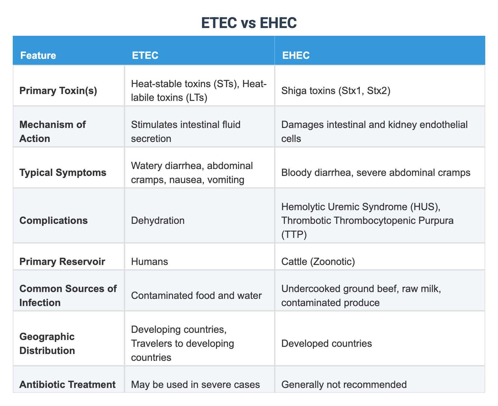 E. Coli vs Klebsiella: Unveiling Key Differences