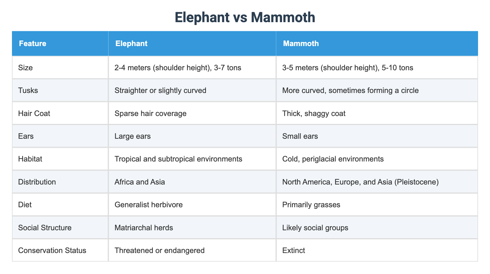 Elephant Vs Insect Elephant vs Mammoth