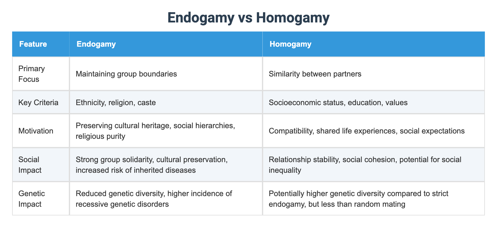 Homogamy Examples Endogamy vs Homogamy