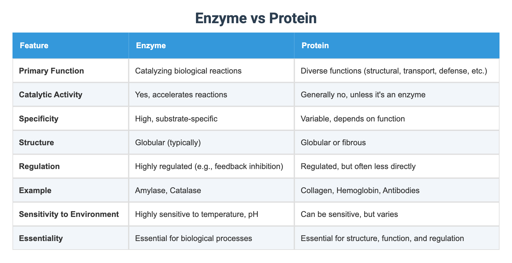Enzyme vs Protein