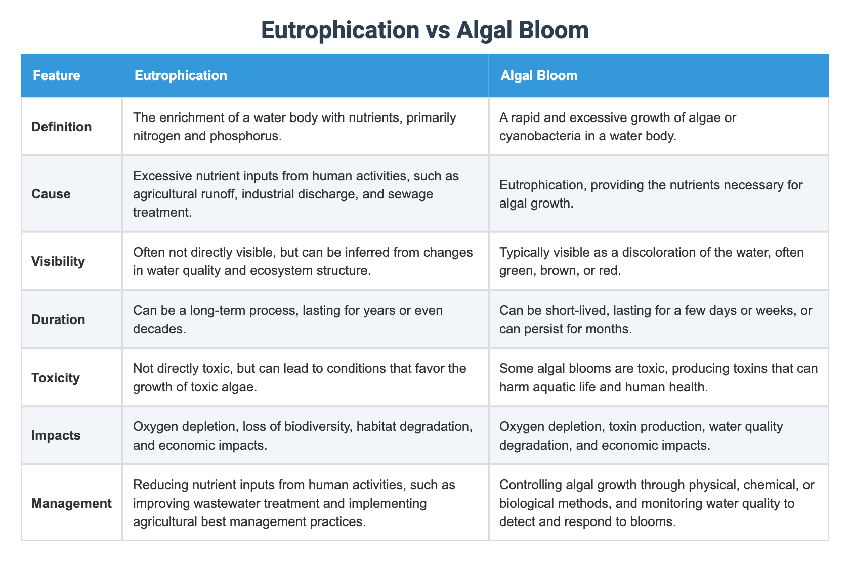 Eutrophication vs Algal Bloom