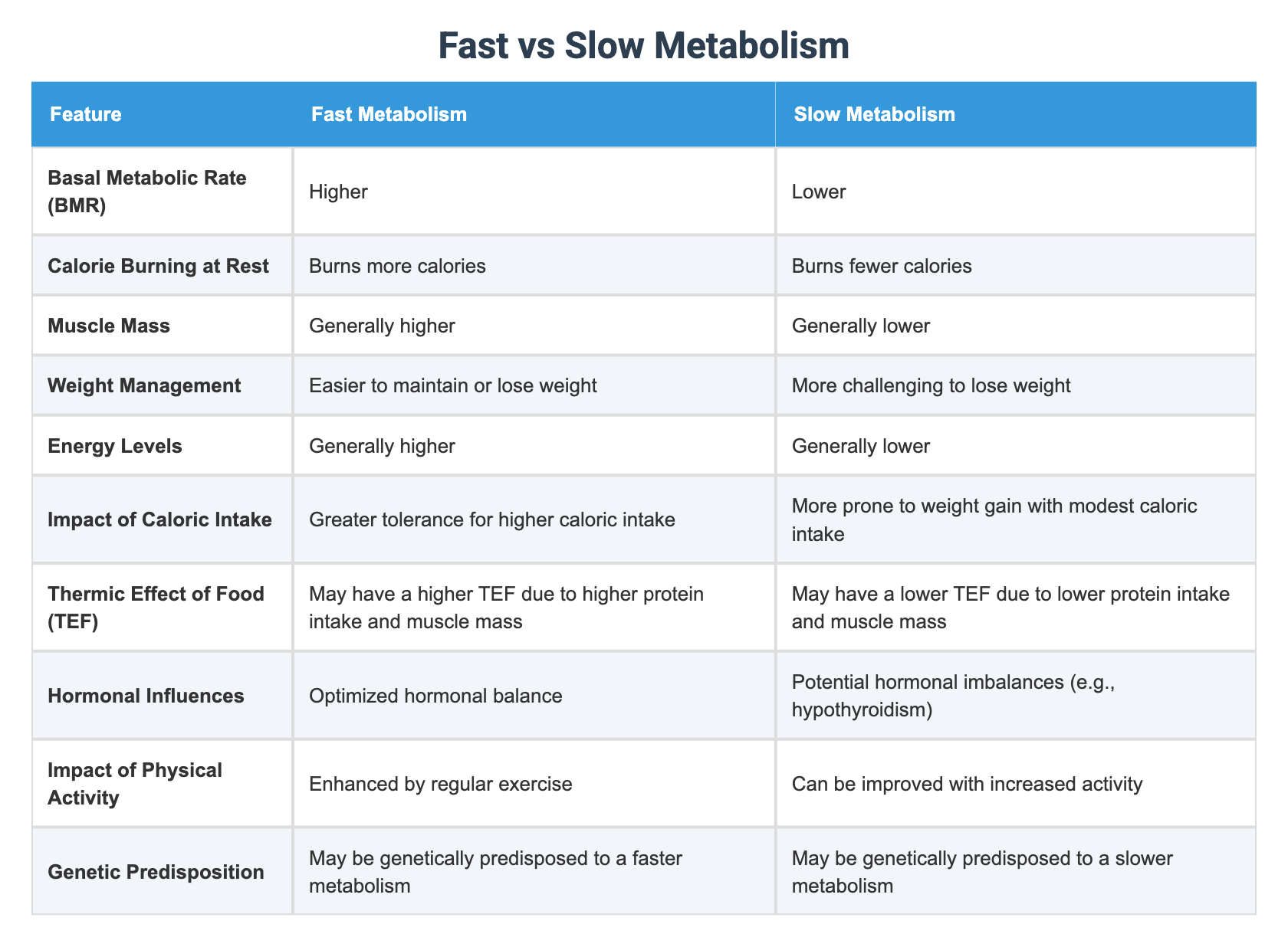 Fast vs Slow Metabolism
