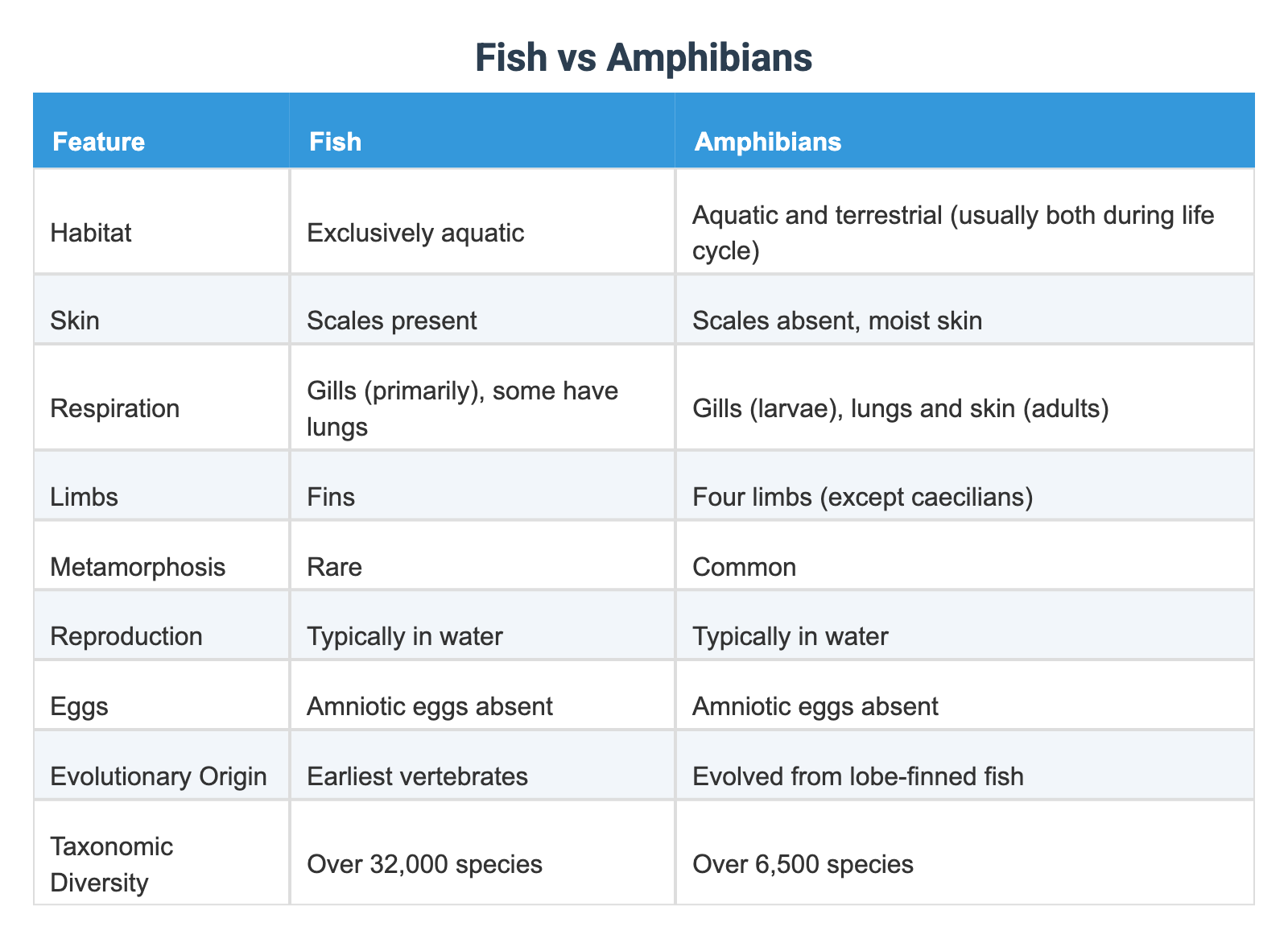 Fish vs Amphibians