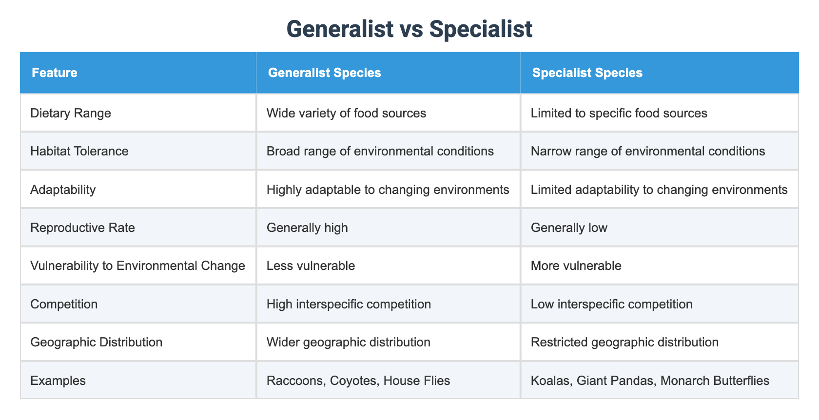 Generalist vs Specialist