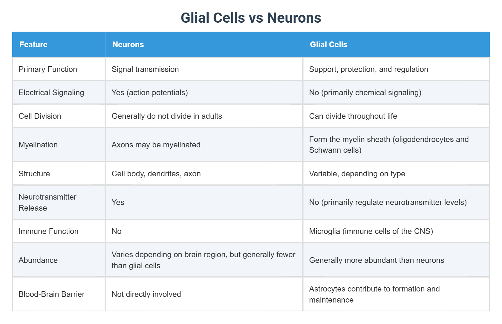 Glial Cells vs Neurons