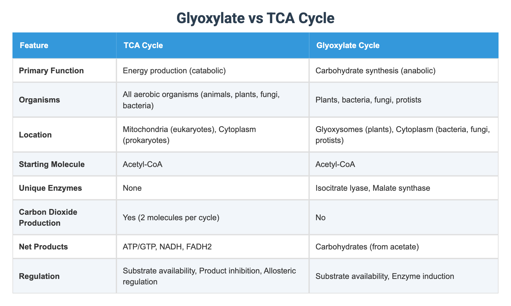 Glyoxylate vs TCA Cycle