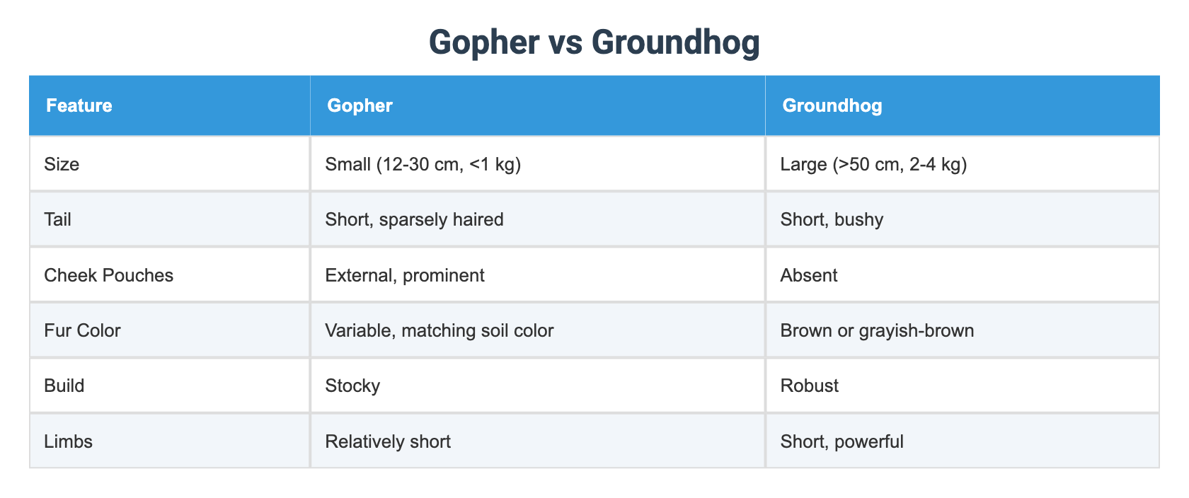 Gopher vs Groundhog