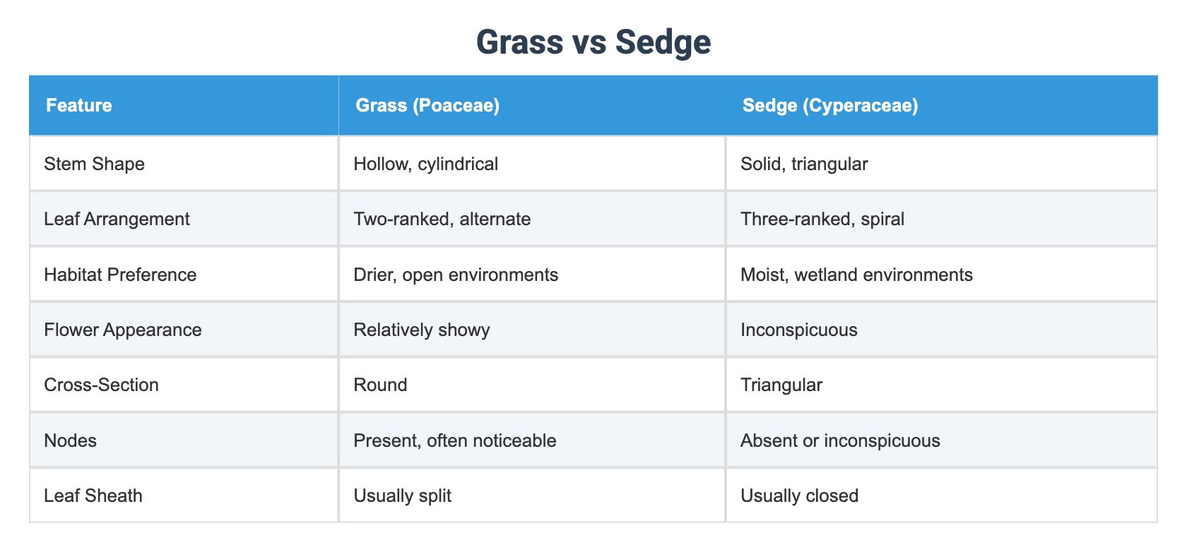 Grass vs Sedge