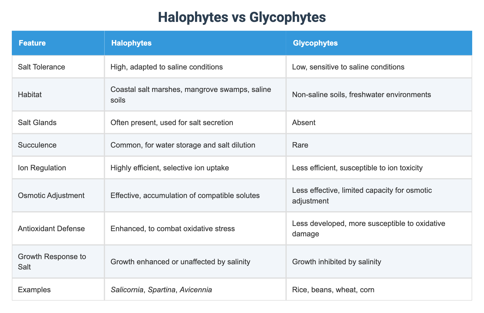 Halophytes vs Glycophytes