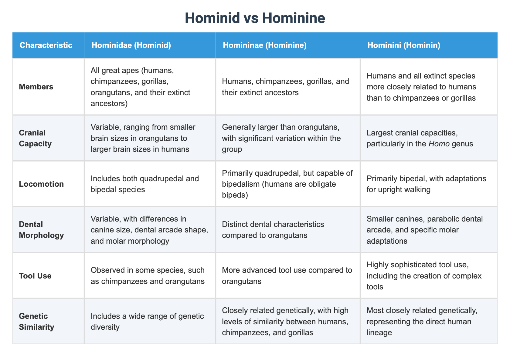 hominid-vs-hominine