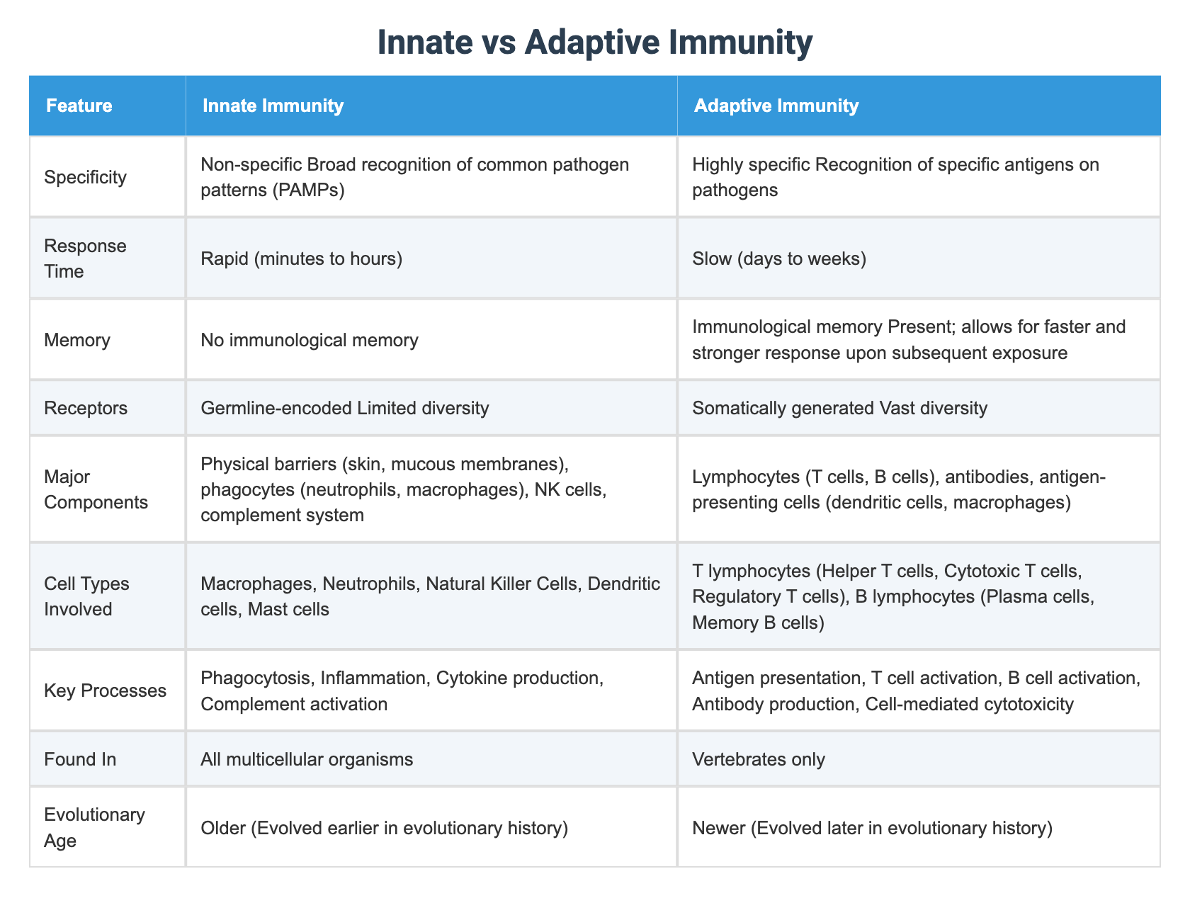Innate vs Adaptive Immunity