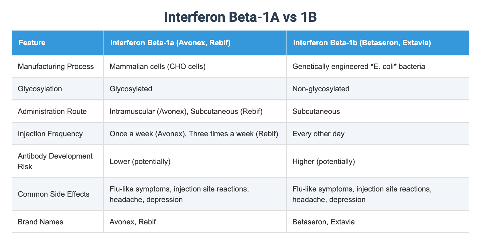 Picture of Interferon Beta-1A vs 1B
