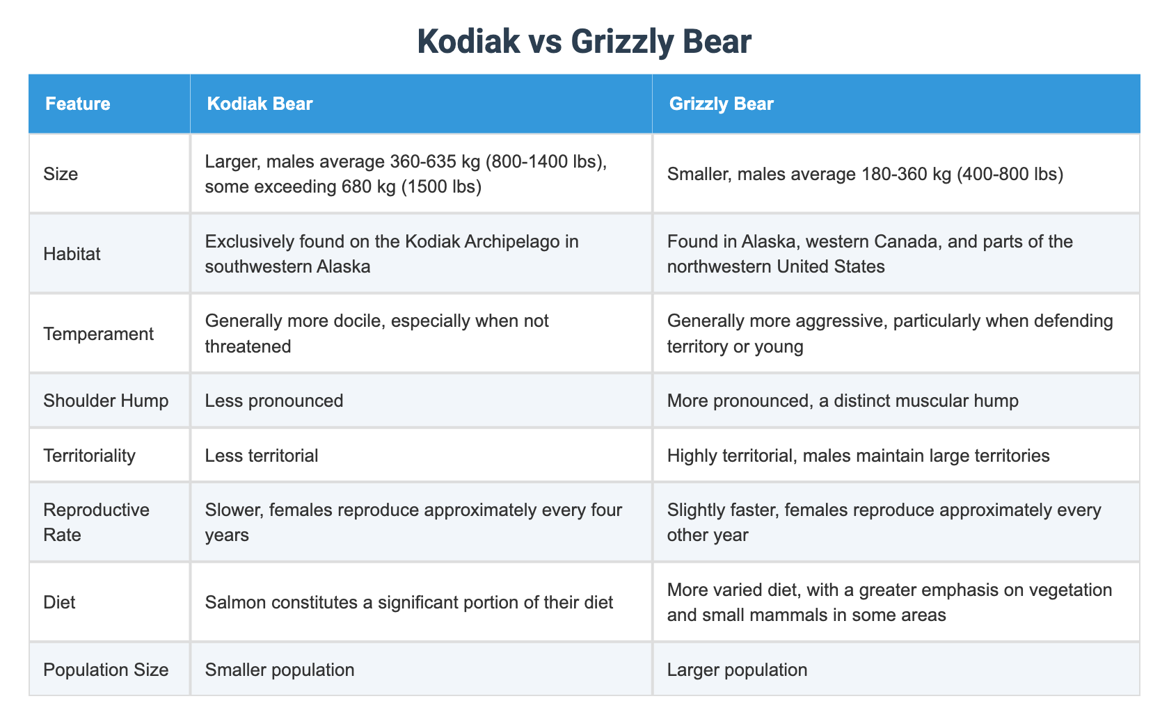Kodiak vs Grizzly Bear