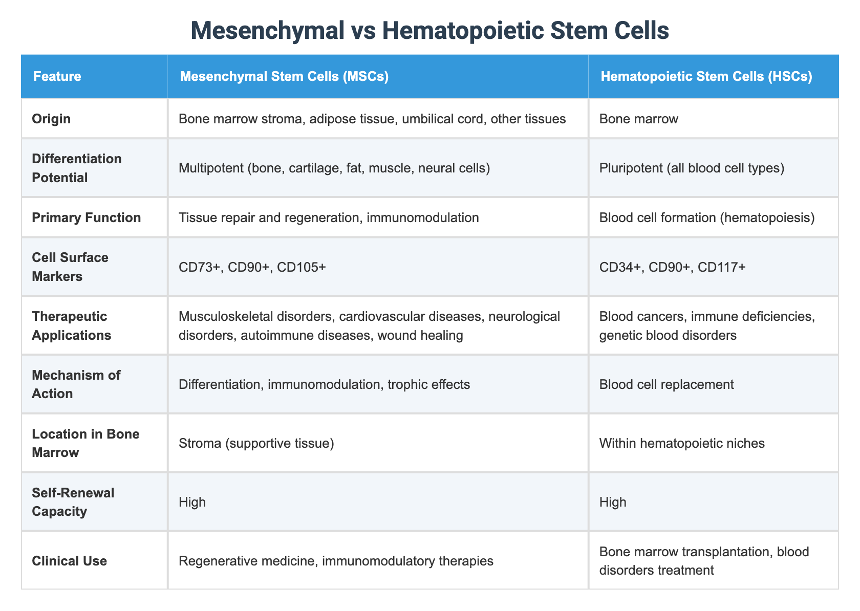 Mesenchymal vs Hematopoietic Stem Cells