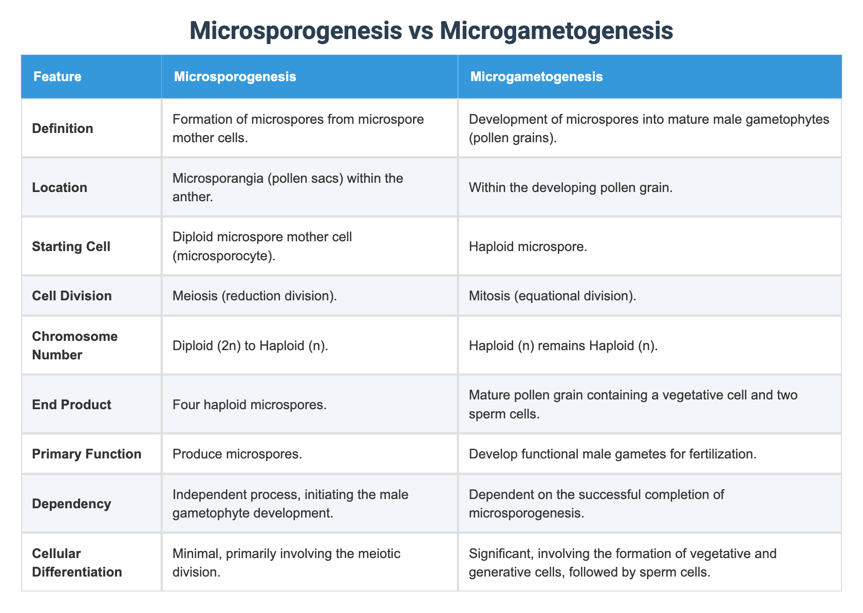 Microsporogenesis vs Microgametogenesis