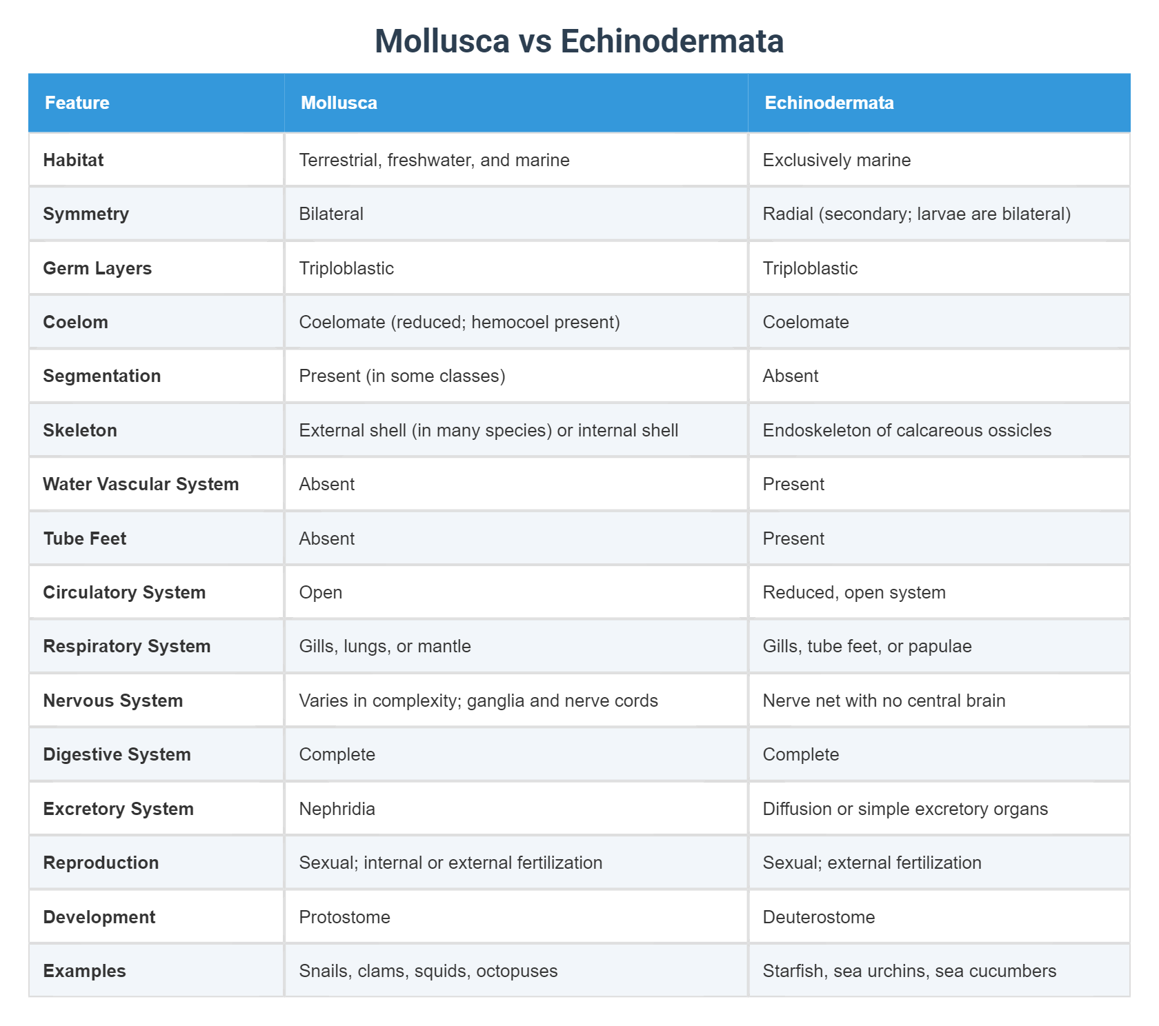 Molisca Mollusca vs Echinodermata