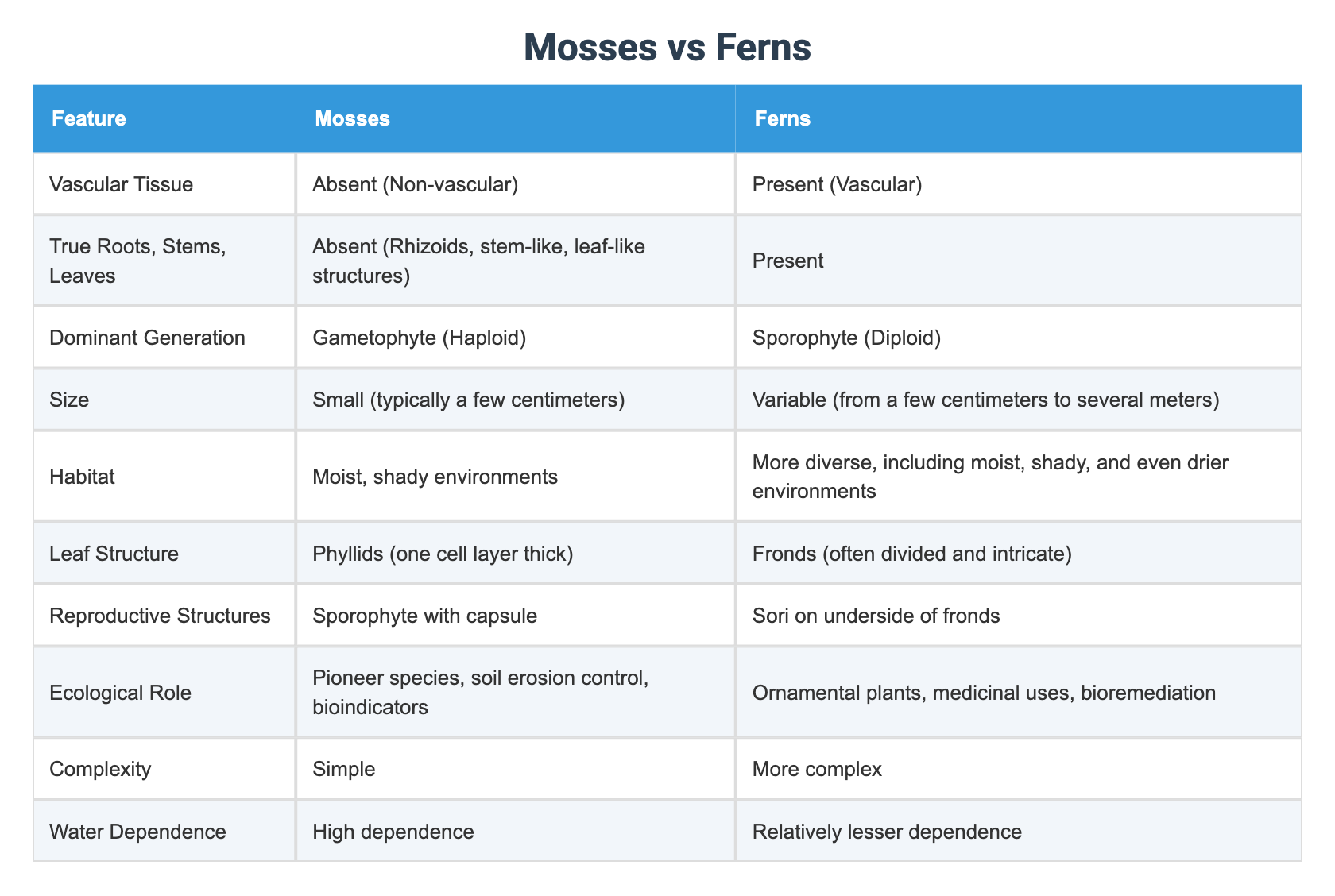 Mosses vs Ferns