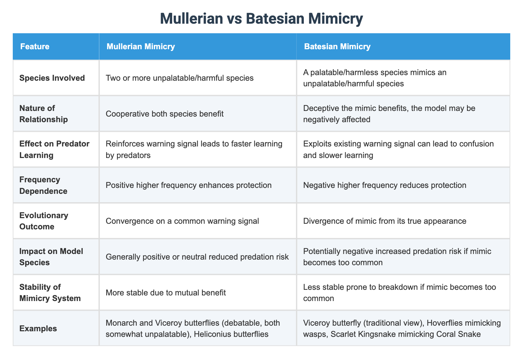 Mullerian vs Batesian Mimicry