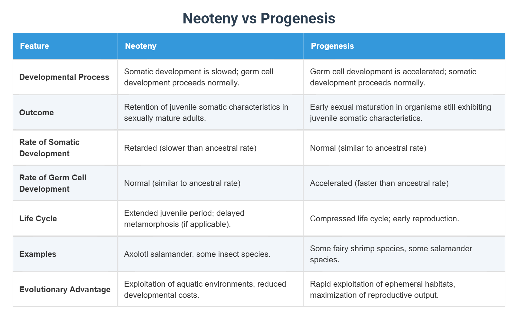 Neoteny Examples Neoteny vs Progenesis