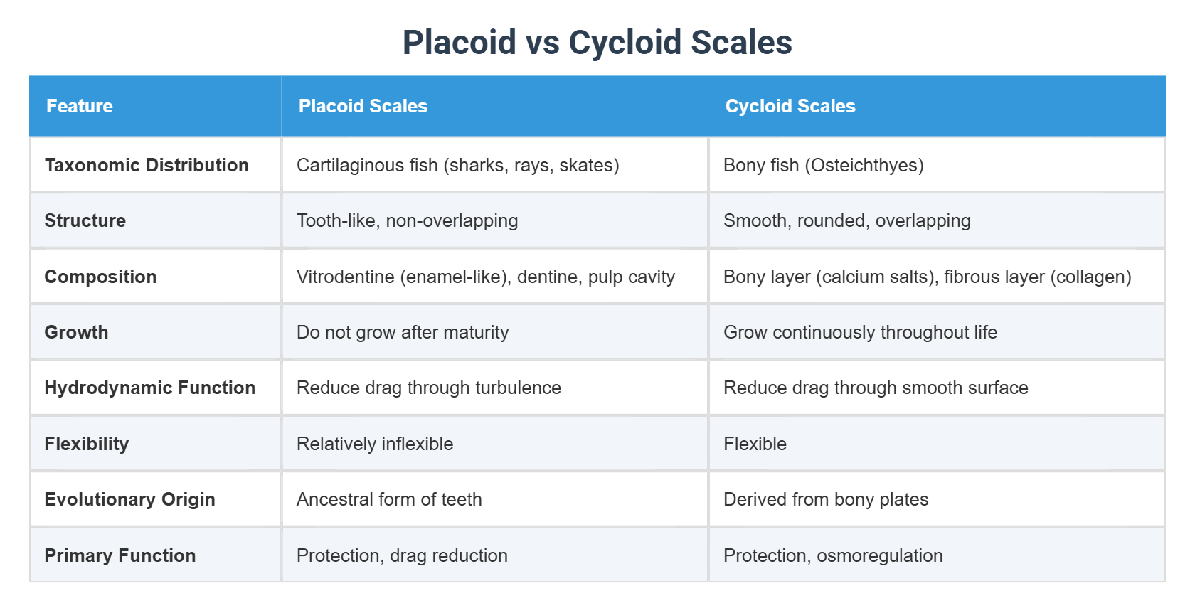 Placoid vs Cycloid Scales