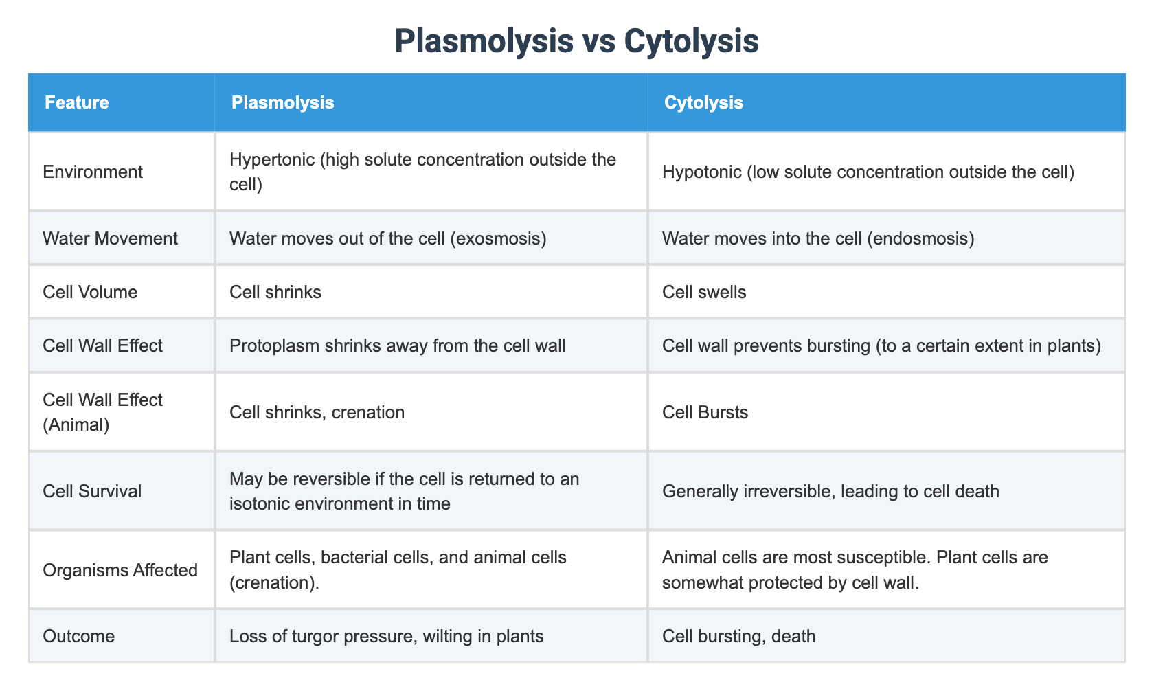 Plasmolysis vs Turgidity