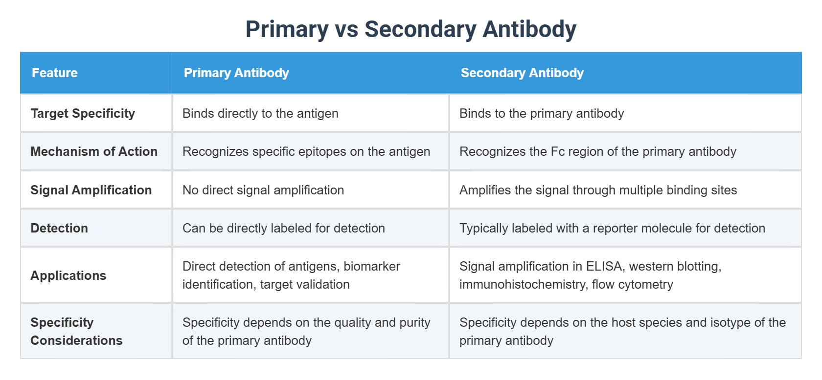Primary vs Secondary Antibody