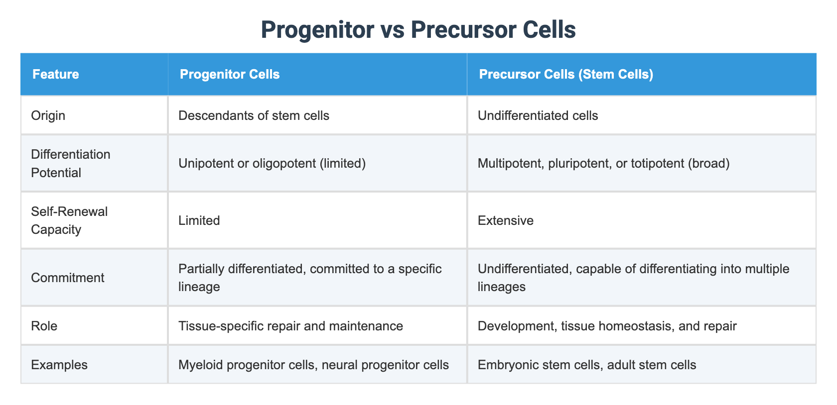 Progenitor vs Precursor Cells