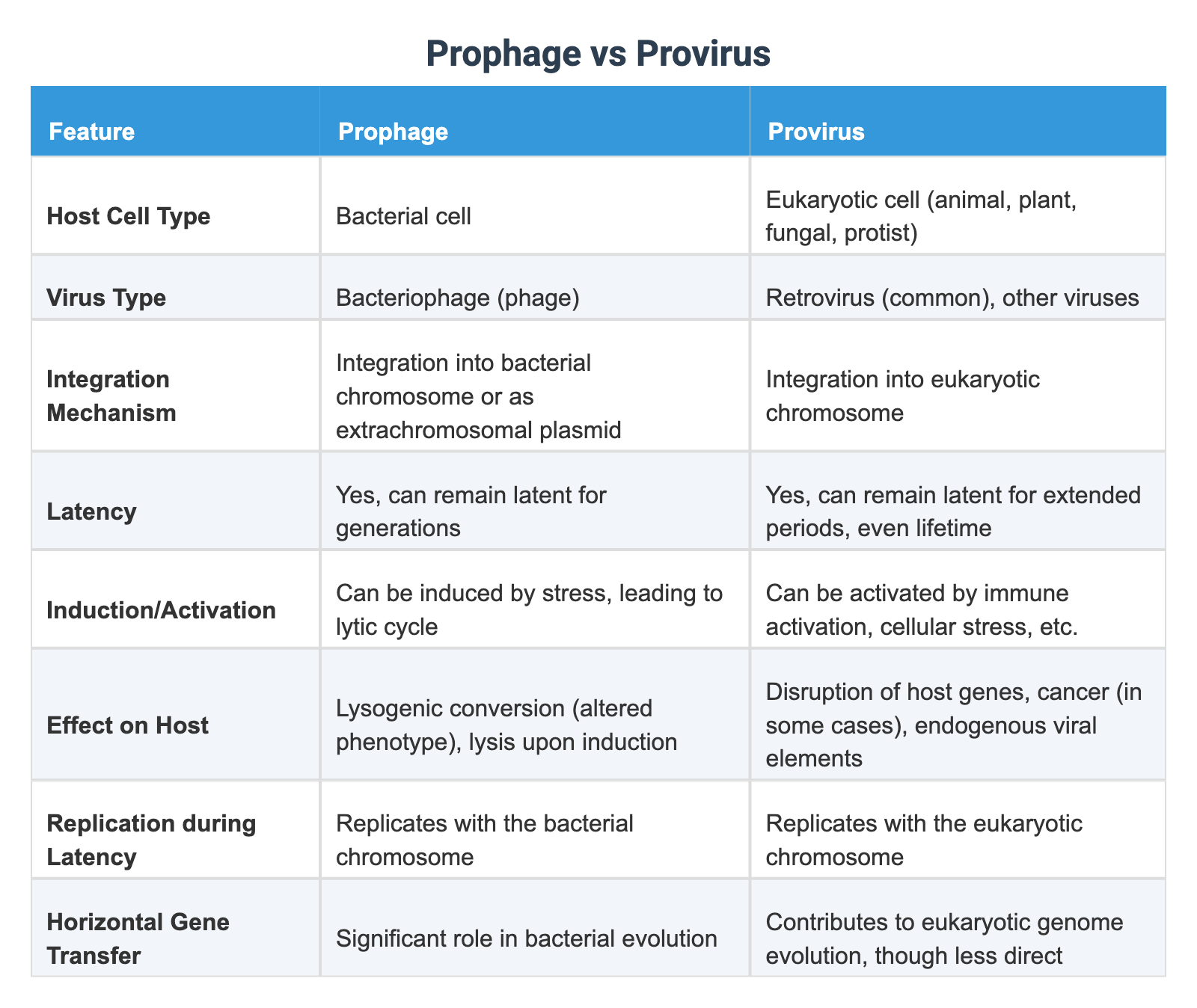 Prophage Prophage vs Provirus