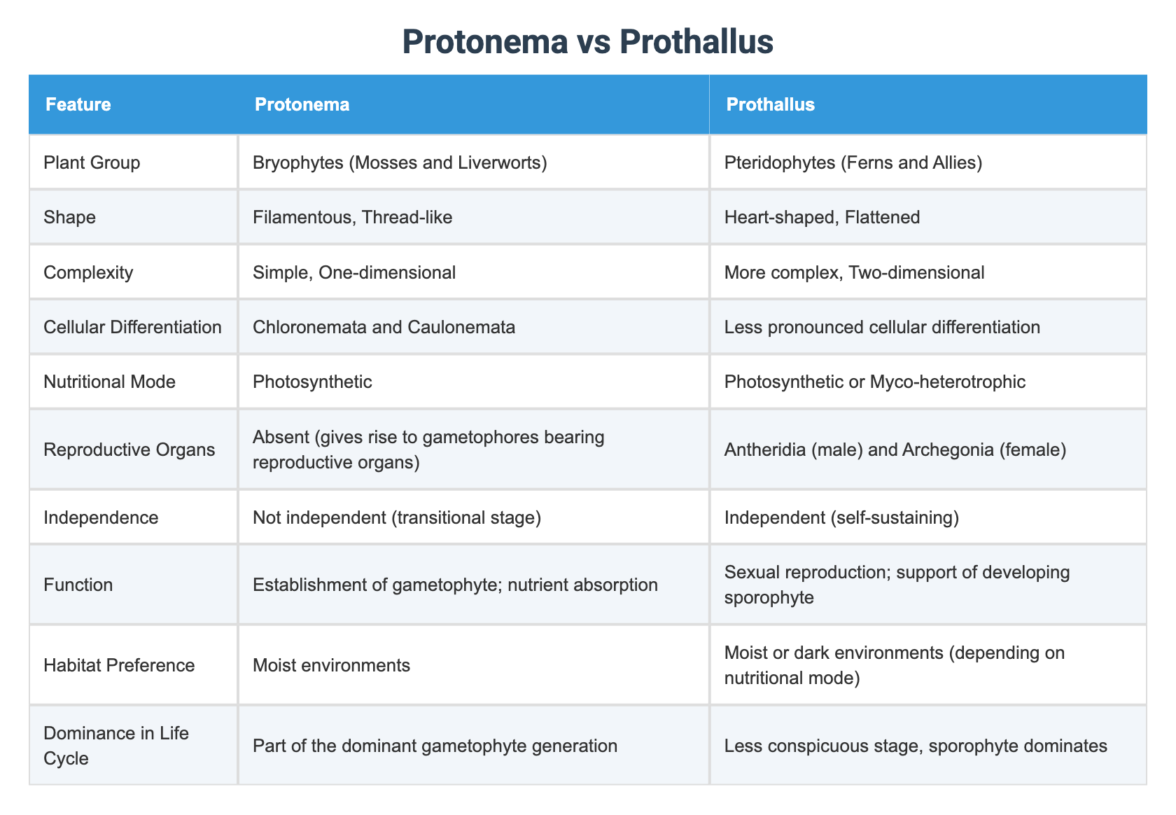 Protonema vs Prothallus
