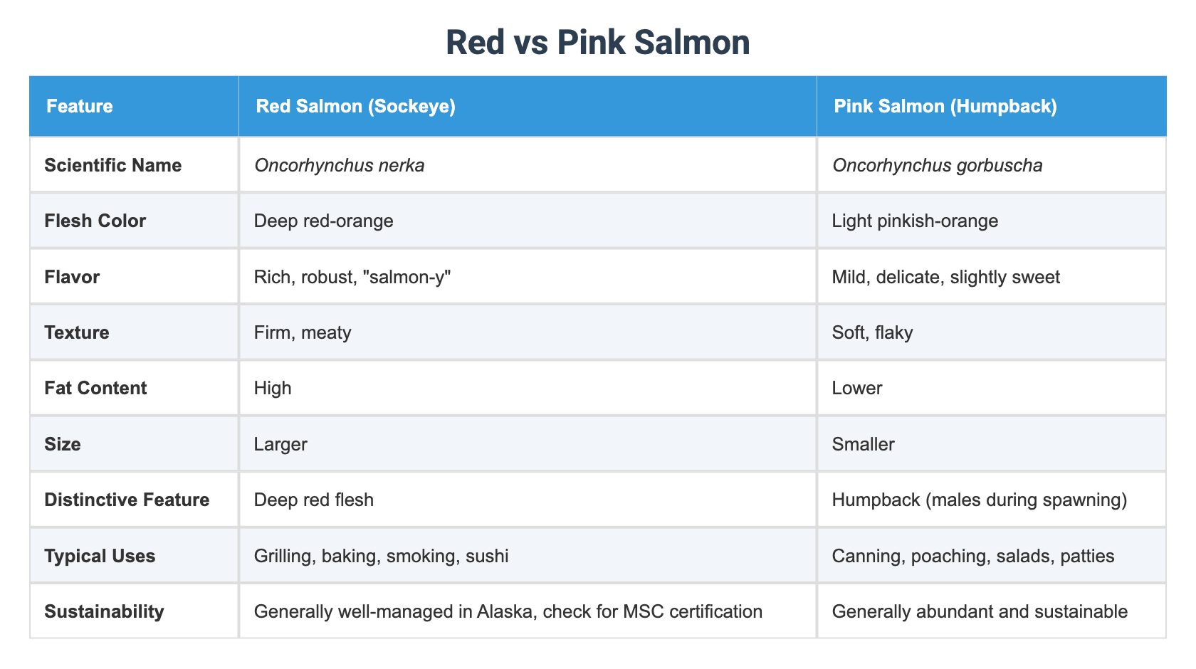 Red vs Pink Salmon
