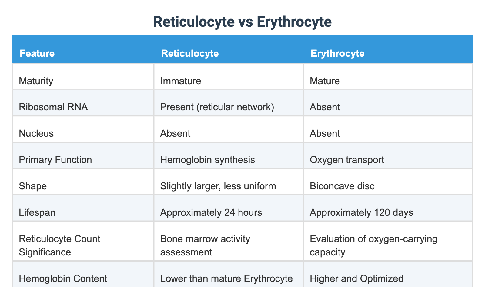 Reticulocyte vs Erythrocyte