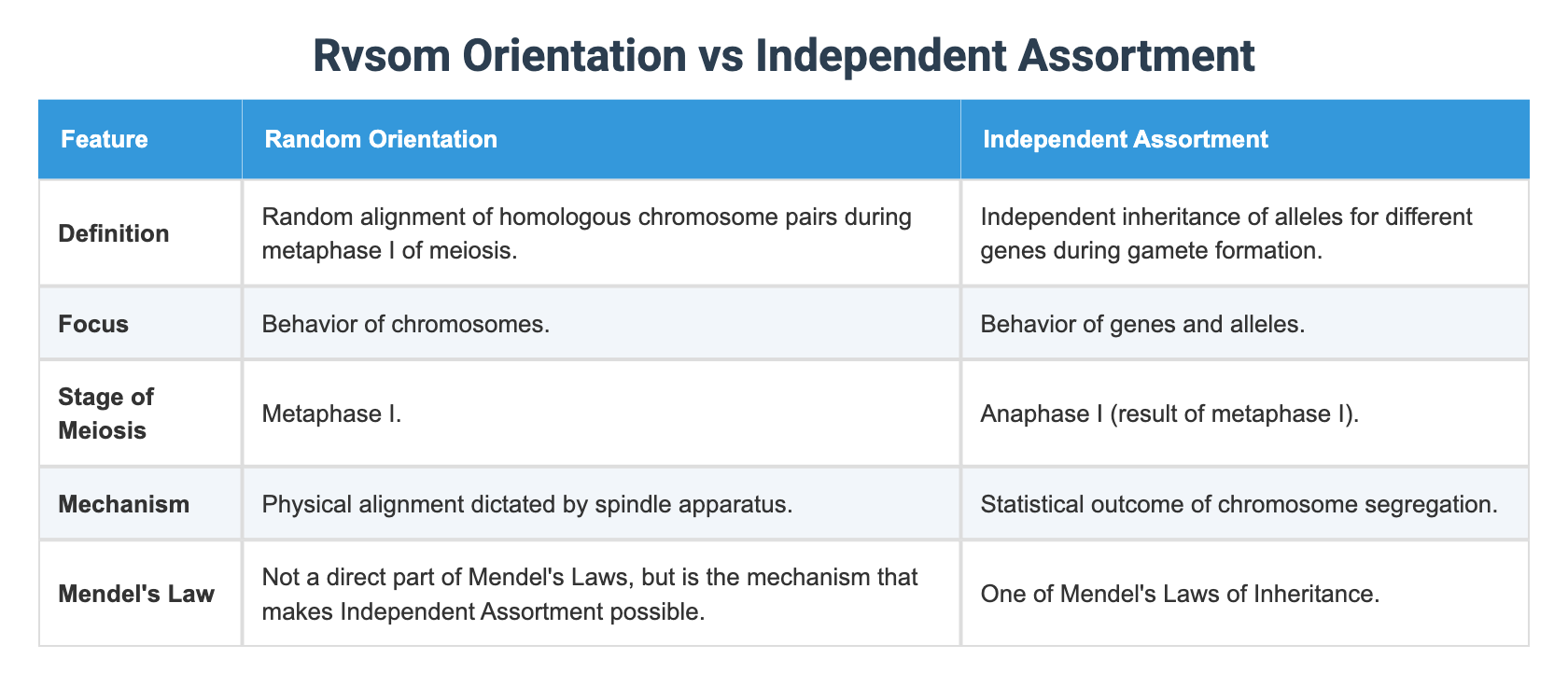 Rvsom Orientation vs Independent Assortment