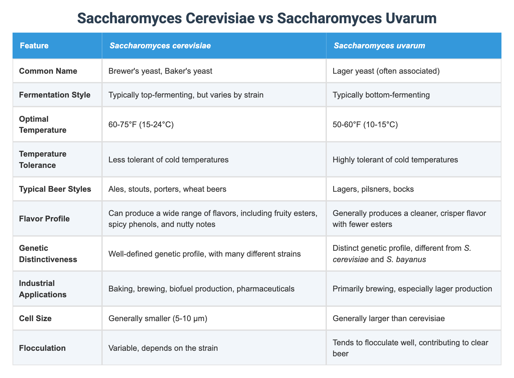 structural comparison of catalase a from saccharomyces... Saccharomyces Cerevisiae vs Saccharomyces Uvarum