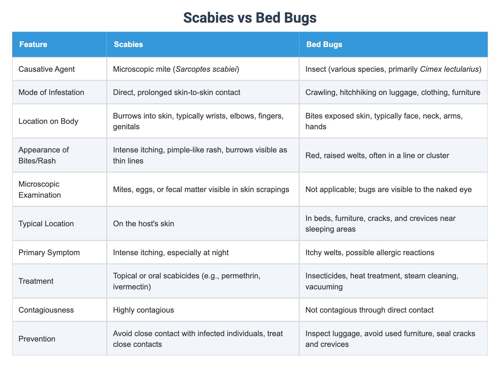 Scabies vs Bed Bugs