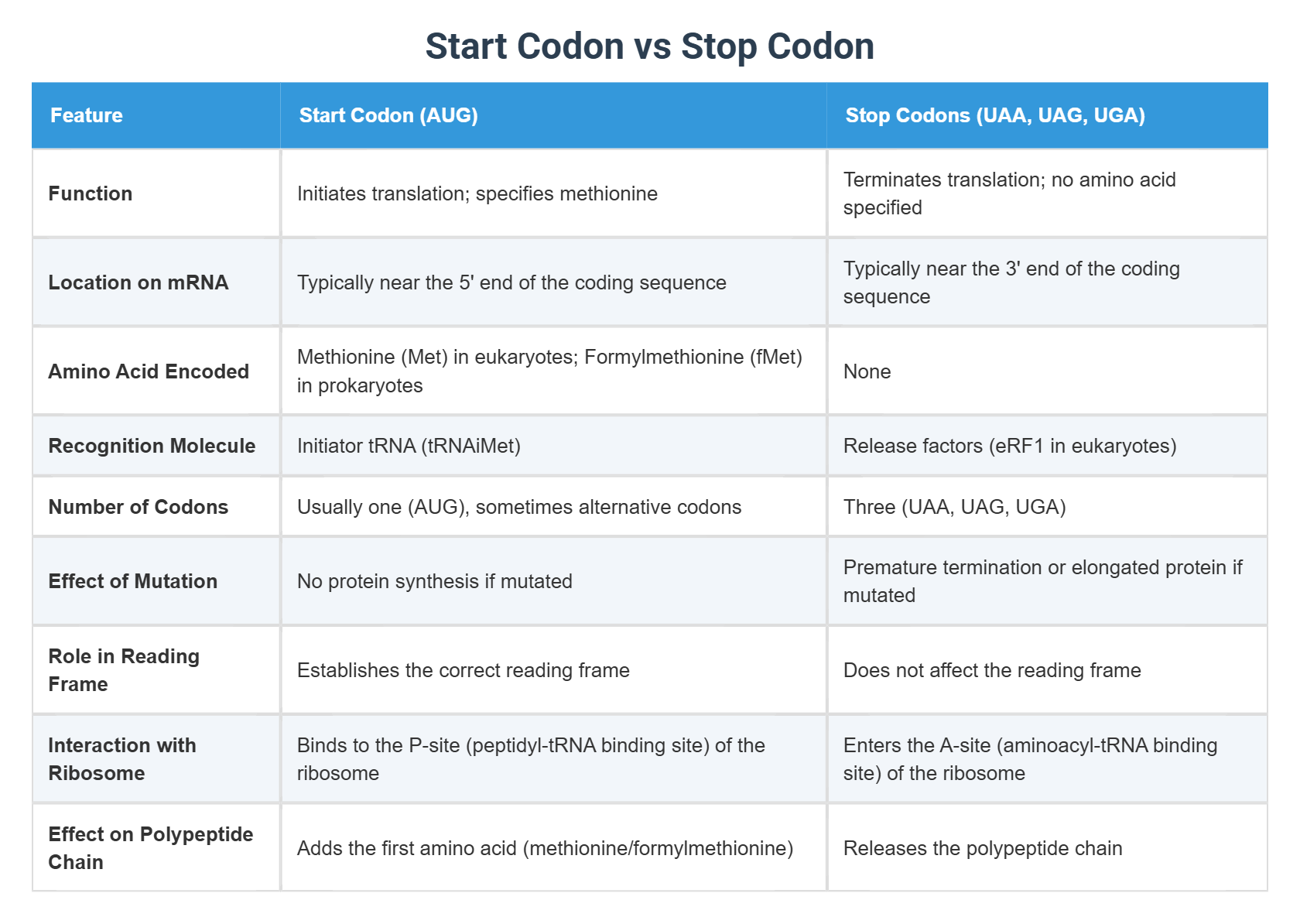 Start Codon vs Stop Codon
