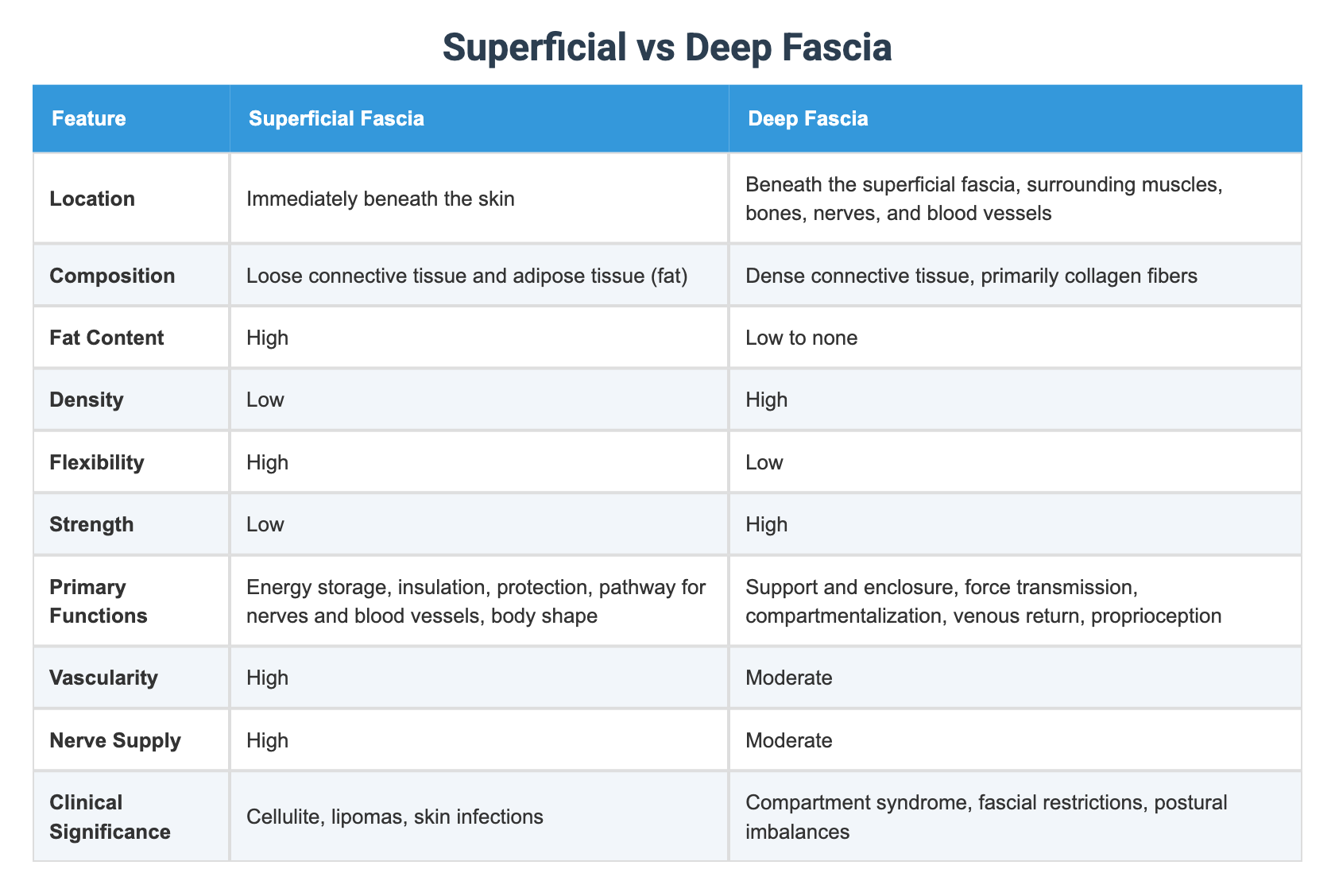 Superficial vs Deep Fascia