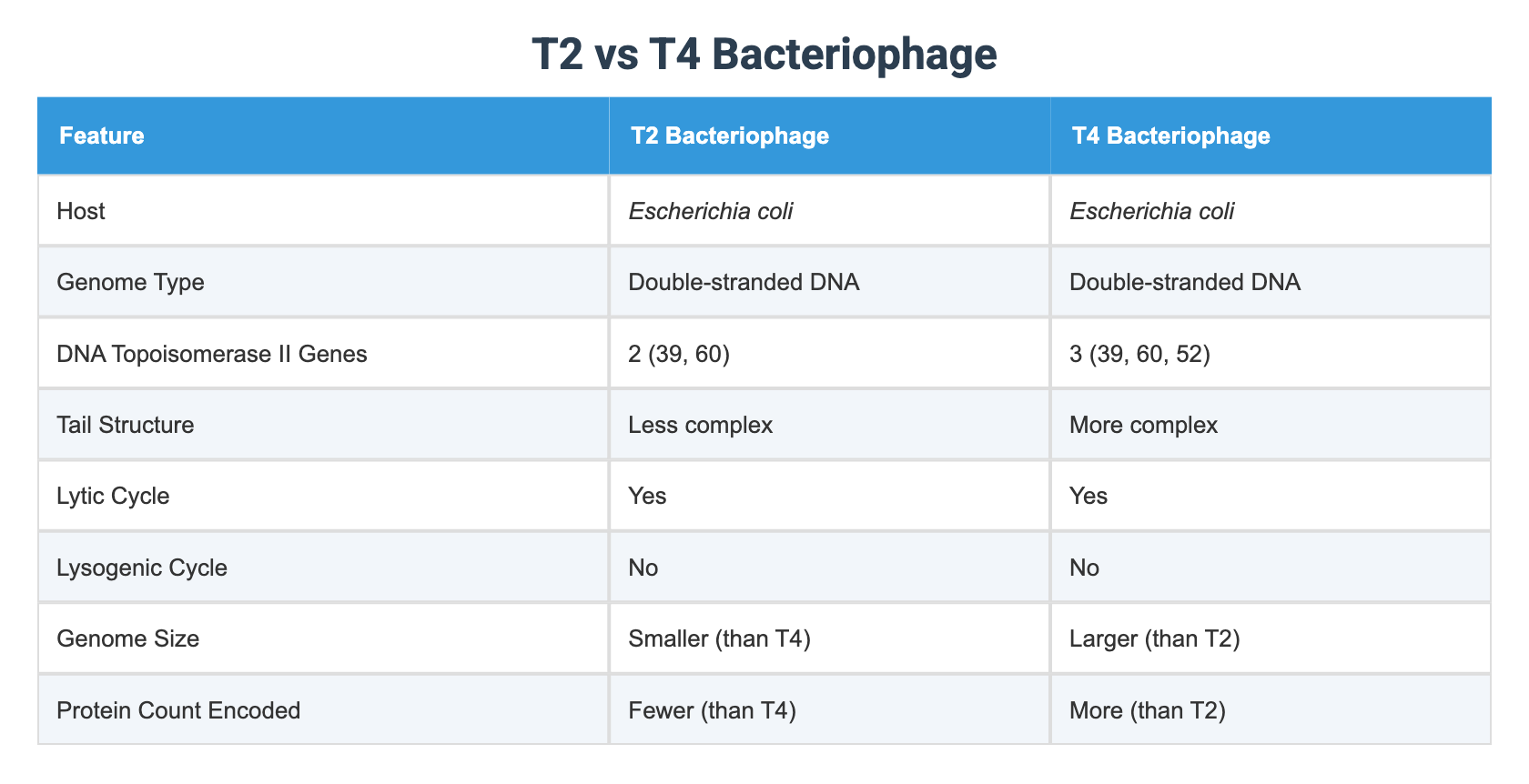 T2 vs T4 Bacteriophage