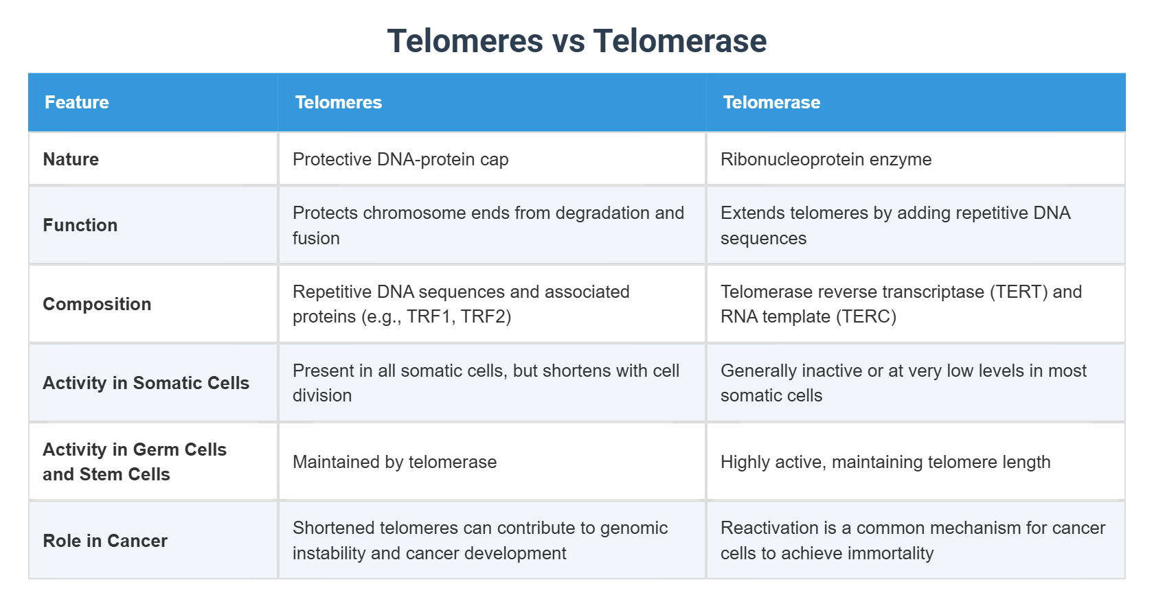 Telomeres vs Telomerase
